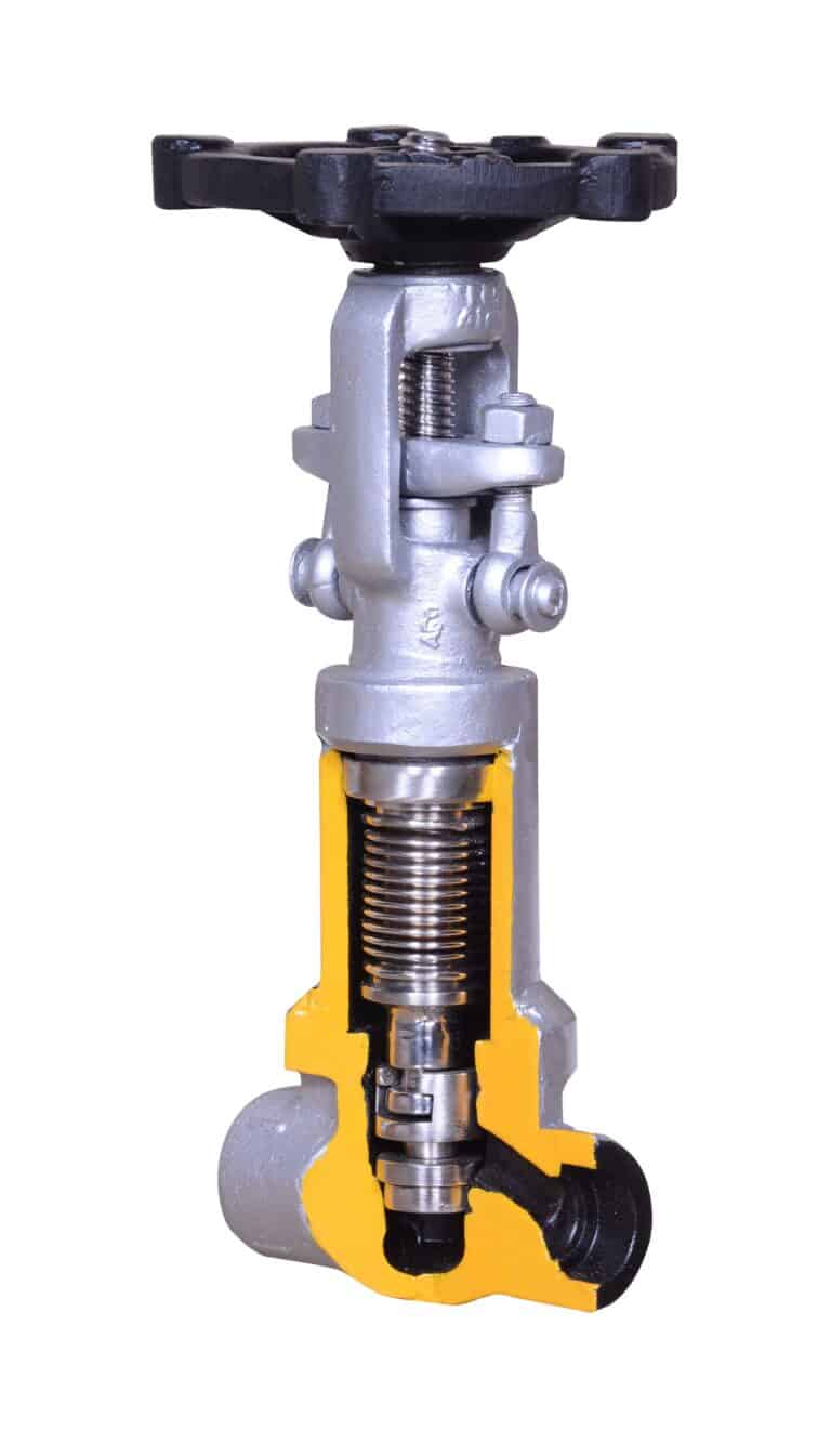 Bellow Seal Valve