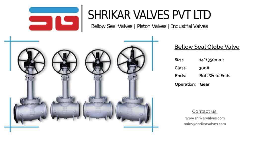 Bellow Seal Valve