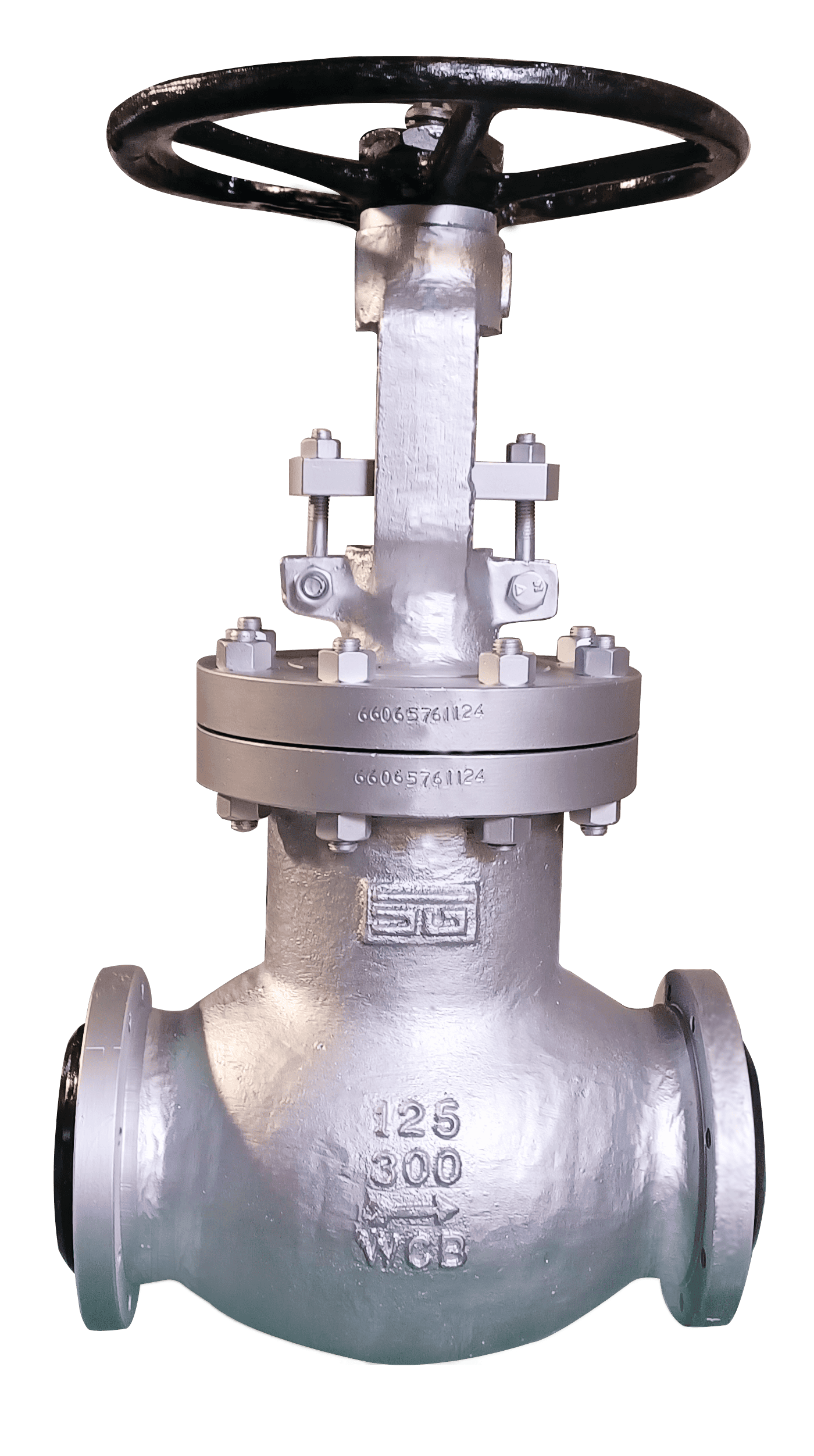 Bellow Seal Valves