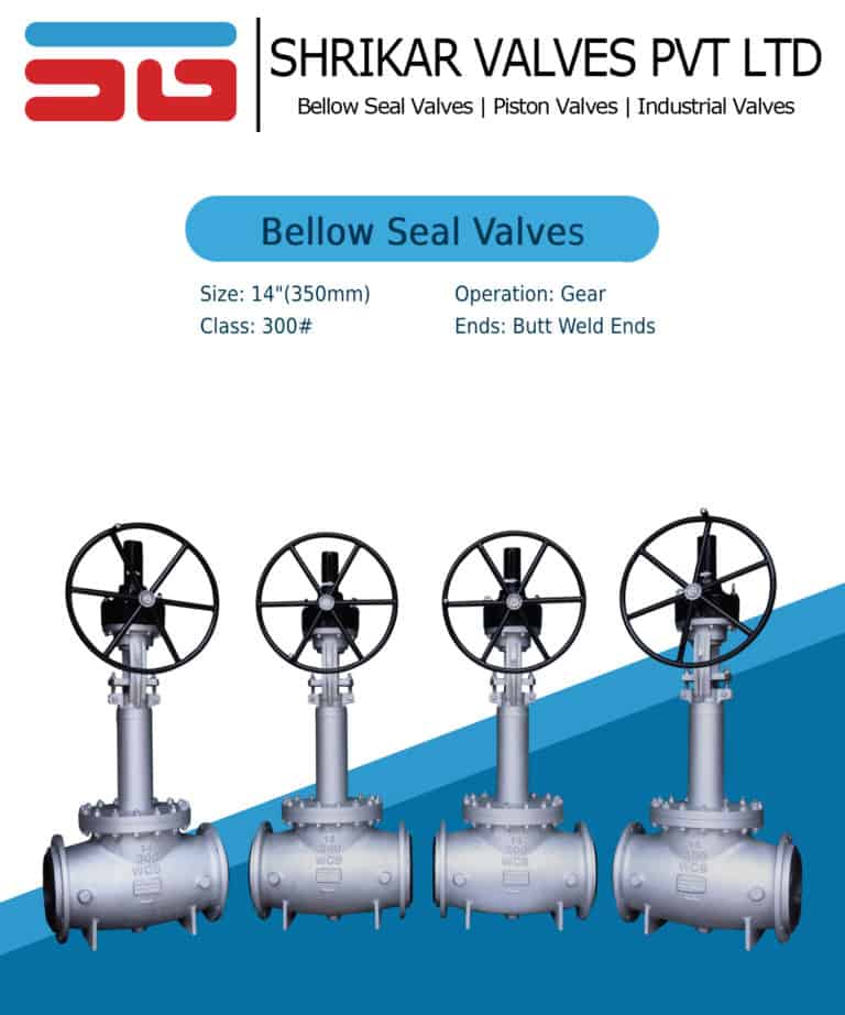 Bellow Seal Valve