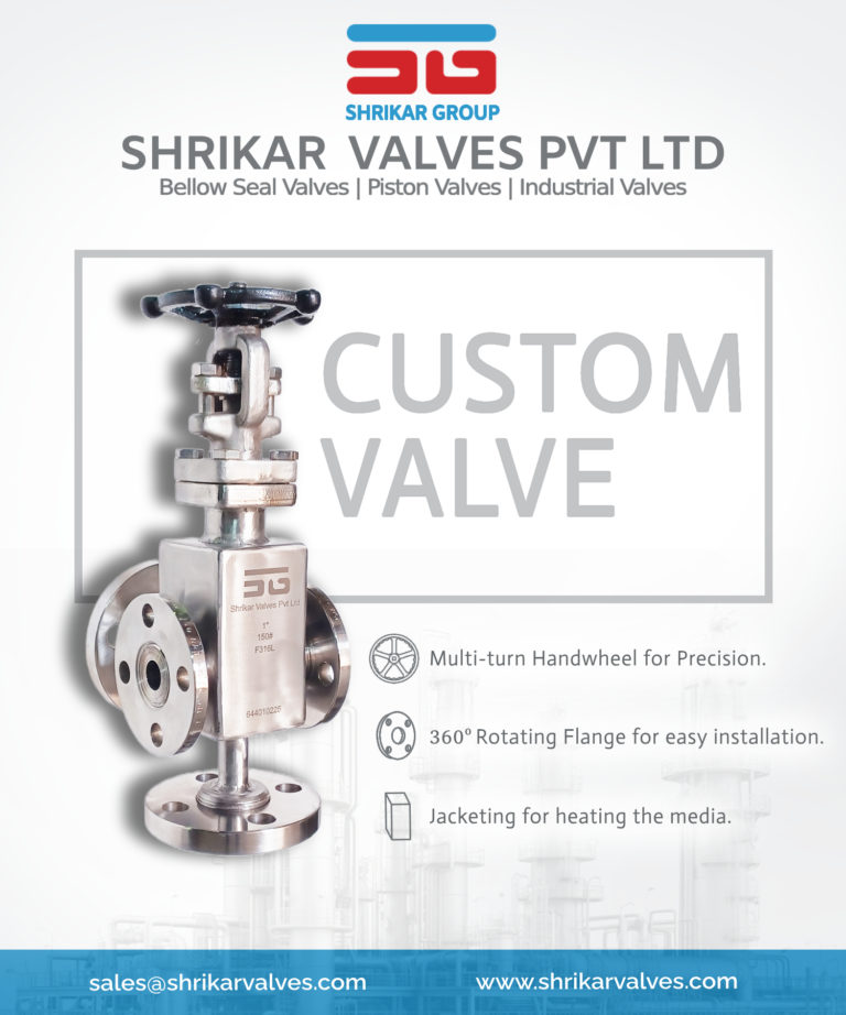 Custom Bellow Seal Valve