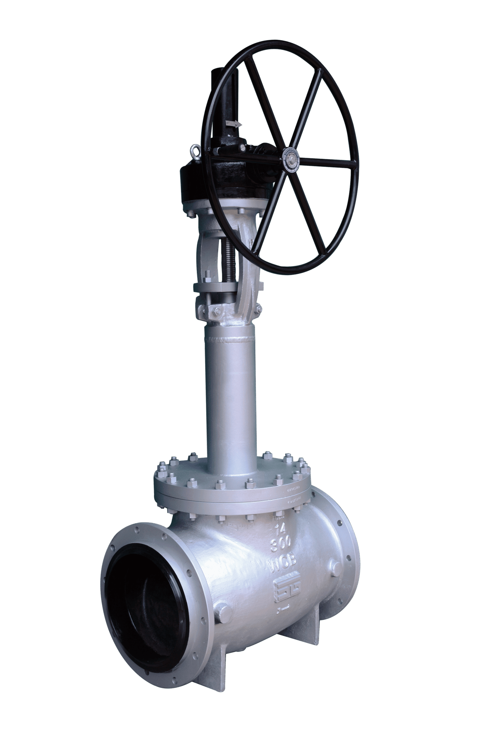 Bellow Seal Valve
